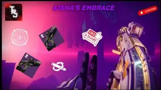 Aisha's Embrace is Criminally Underrated (42 DEFEATS!) (Destiny 2: The Edge Of Fate) 