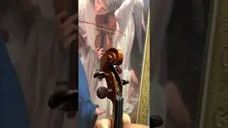 VIOLINO de luthier MARCOS SCHMITZ I HPG Musical