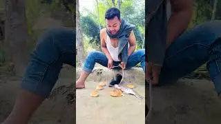 New technique for catching black snakes with fish bait  #snake #usareels #fypシ #unitedstates