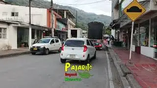 Pajarito - Boyacá (6:28 a.m.)  24/01/2026