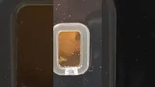 goldbar 2 gram #gold #investing #rich#money #future