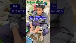 AQUARIUM PLANTS PRICE TODAY | SUJON BARIK | GALIFF STREET 21 DEC 2025