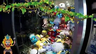 Rainforest Promo