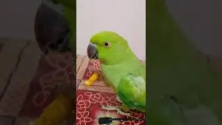 new video 🥰 please channel ko subscribe kar dijiye please mr Kirti Singh 8115#youtube #viral video