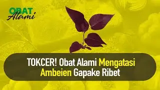 Obat Ambeien Paling Ampuh Secara Alami | Obat Alami
