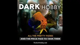 The Dark Hobby Feature Film, Audience Feedback from Dec. 2021 ENVIRONMENTAL Film Festival
