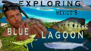 Exploring Jungle Island On The Lagoon Of Seven Colors!