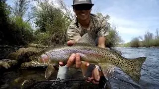 Spring Fly Fishing on the Lower Sacramento River