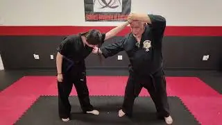Gold Belt - (Juniors) (Adults) Clutching Feathers