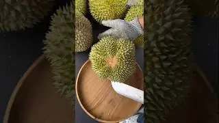 The Rarest & Most Expensive Durian in the World 🍈💎&rdquo; #shorts #viralshorts #fruit #durian