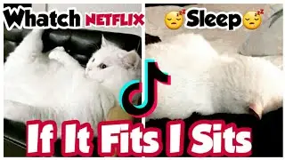 Animals life,funny animals.Funny tik tok animals😂😂😂FUNNYone