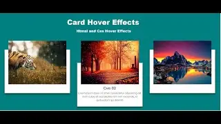 Css Card Hover Effects | HTML & CSS