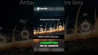 Absor&ccedil;&atilde;o de Nutrientes  O Desbalan&ccedil;o I&ocirc;nico nas Ra&iacute;zes