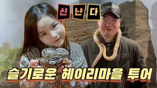 주말에 갈 곳이 없다면 ?!!!!!!!!