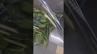 impregnazione sottovuoto dei vegetali.