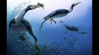 Hesperornis Sounds
