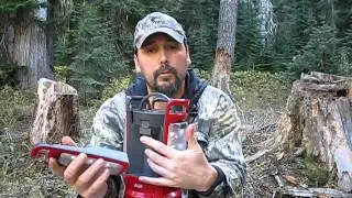 Coleman Quad LED Lantern Stumptop Review