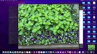 APP / Instagram Photo Upload using Mac Safari