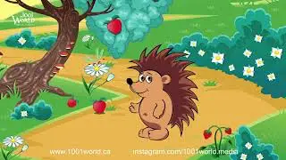 Hedgehog/ جوجه‌تیغی