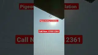 Pigeon Netting for balcony |Bird Netting for balcony near me #antibirdnet  #pigeonnet