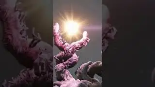 Elden Ring Characters Without Cloth - Part 4