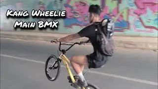 HAY!!!, Kang Wheelie Main BMX