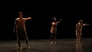 Ari Tribute by Purchase College Dance Conservatory Seniors Class of  2020
