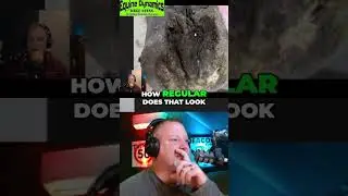 Rotten Horse Hoof? You Won't Believe This Neglect! #shorts