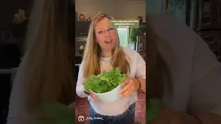 Michaelmoelleria propagation experiment update (3 months in)