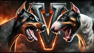 Doberman vs Bull Terrier 🔥🐕 The Ultimate Showdown!