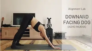 Alignment Lab | Downward Facing Dog (Adho Mukha)