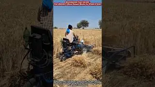 Revolutionize Your Harvest | The Ultimate 4-Wheel Reaper Binder for Wheat & Grain