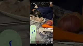 شوربة ربيان لون ابيض الشيف بن قاسم
