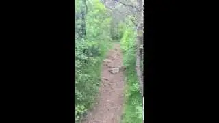 Single en tandem VTT