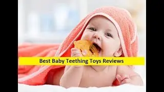 Top 3 Best Baby Teething Toys Reviews in 2019
