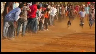 Dog race  Kolhapur 😱Greyhound race fastest dog racing in india