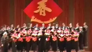 I love you, China &bull; 我爱你，中国 2008 Tucson Spring Festival