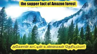 the secret of Amazon forest// in tamil by suhi