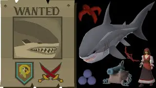 OSRS Broken Dragon Hook Drop