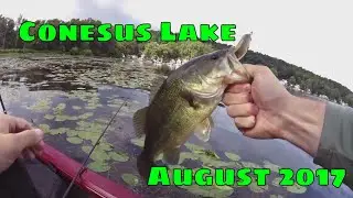 Conesus Lake August 19th 2017 - Topwater and Lipless Crankbaits