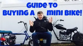 What to Look for When Buying a Mini Bike!