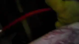 el video. de todos mis animales