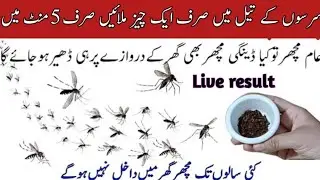 By adding one thing in mustard oil, mosquitoes will not come to your house for 5 years |kitchen tips