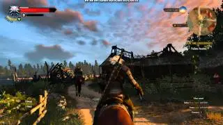 The Witcher 3 on DualCore E8300 (4GB DDR2) Radeon R7 250