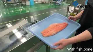 Fish Bone Food X-Ray Inspection System