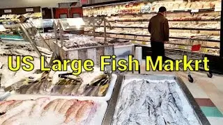 Largest Fish Market in USA|Machha Market|Dried Fish|Fresh Shrimp|Prawn|Lobster|Fresh Fish|Live Crab