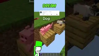 MINECRAFT WHO DID BETTER?🤔 MrBeast, Dream, Pig King #shorts 😱