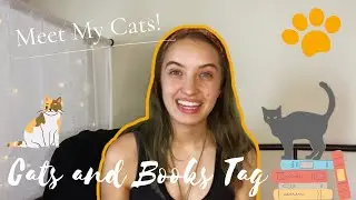 Meet My Cats! |Cats and Books Tag|