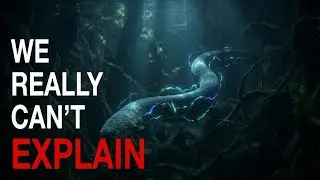 Nothing About Electric Eels Is Normal... Here&rsquo;s Why