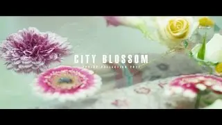 CITY BLOSSOM